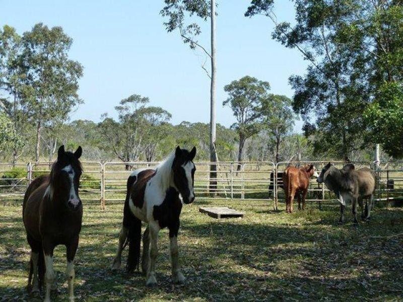 1503 Louis Bazzo Drive, Cootharaba QLD 4565