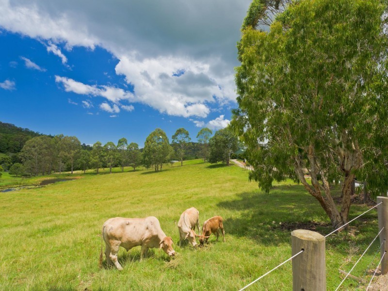 55 Eumundi Range Road, Eumundi QLD 4562