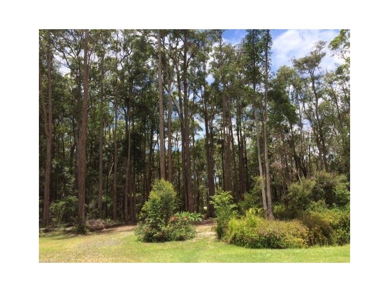 54 Little Creek Road, Cooroibah QLD 4565