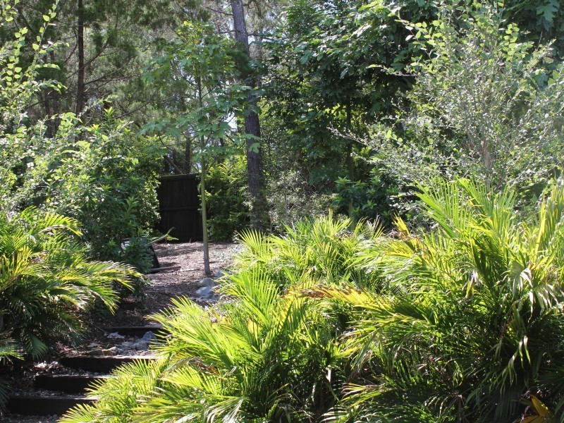 9 Grosvenor Terrace, Noosa Heads QLD 4567