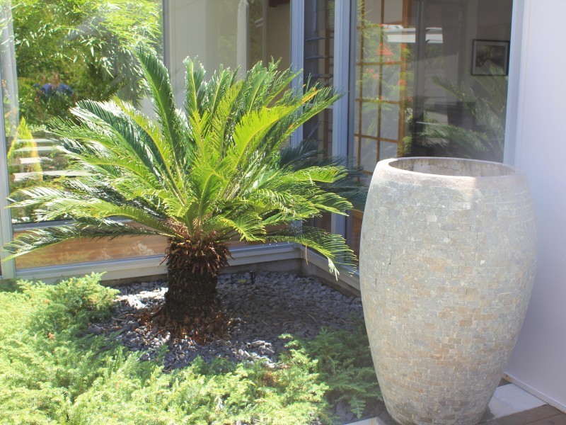 9 Grosvenor Terrace, Noosa Heads QLD 4567