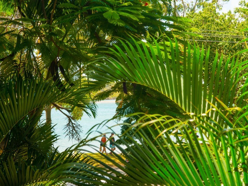 4/273  Gympie Terrace, Noosaville QLD 4566