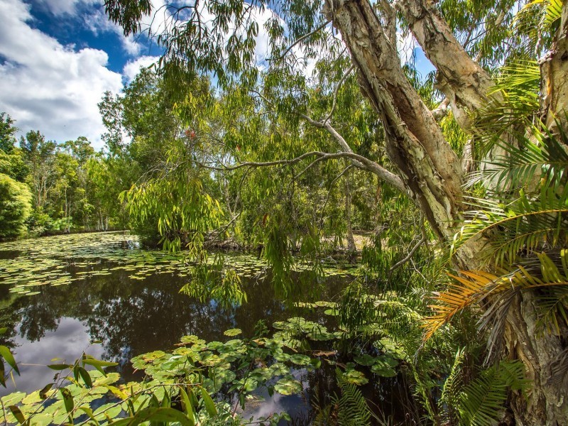 10 Cootharaba Downs Road, Cootharaba QLD 4565