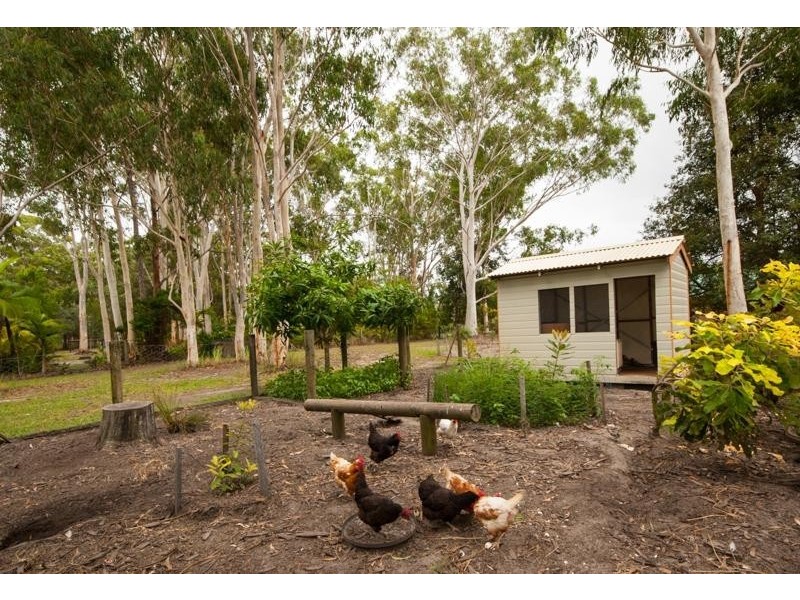 62 Coolah Place, Cooroibah QLD 4565