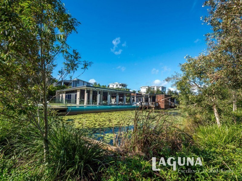 17 Sanctuary Avenue, Noosa Heads QLD 4567