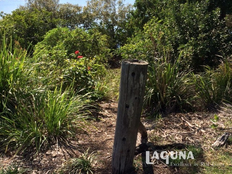 24 Cambridge Court, Tewantin QLD 4565
