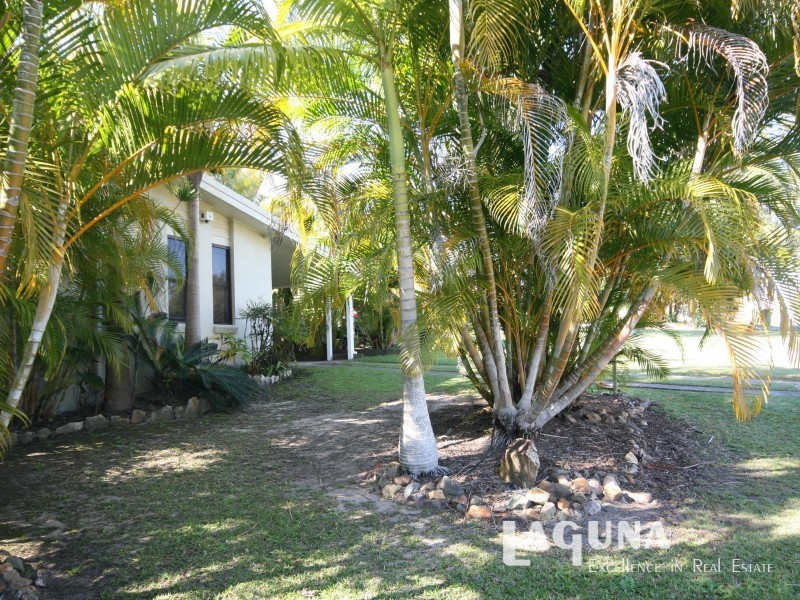 13  McNab Avenue, Tewantin QLD 4565