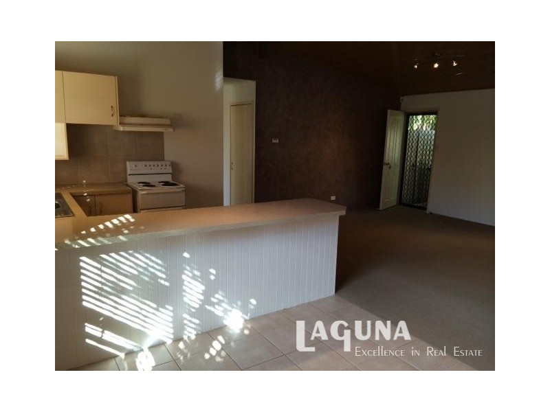 13  McNab Avenue, Tewantin QLD 4565