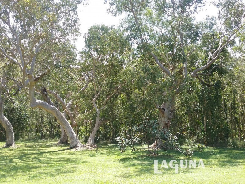 726 McKinnon Drive, Cooroibah QLD 4565