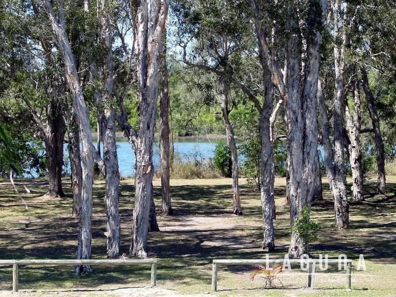 83 Lake Weyba Drive, Noosaville QLD 4566