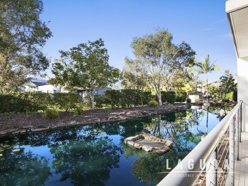 127/73 Hilton Terrace, Noosaville QLD 4566