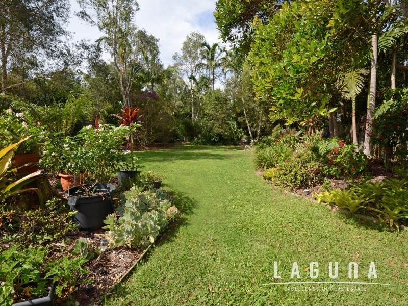 30 Stormbird Dr, Noosa Heads QLD 4567