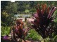 68 Patterson Drive, Tinbeerwah QLD 4563