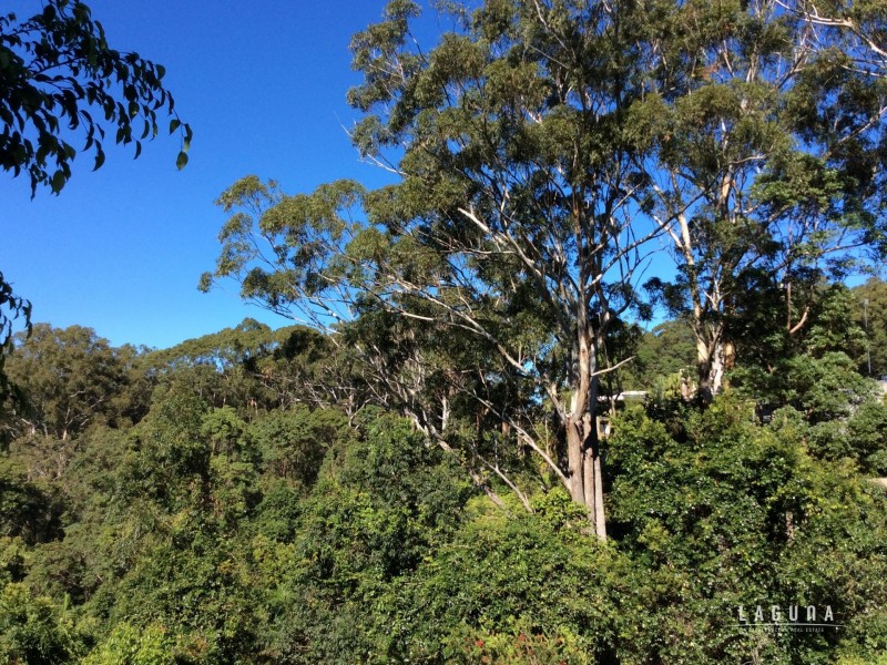 565 Sunrise Road, Tinbeerwah QLD 4563