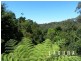 565 Sunrise Road, Tinbeerwah QLD 4563