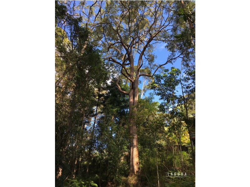 565 Sunrise Road, Tinbeerwah QLD 4563