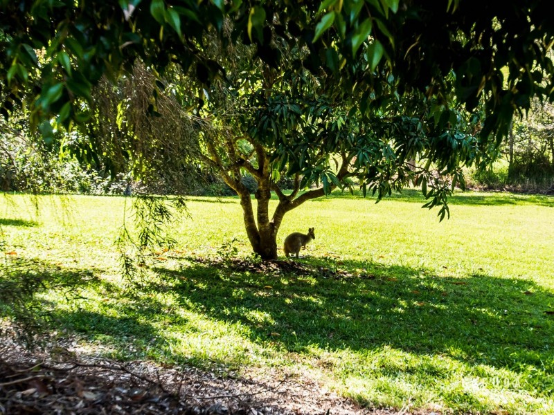 65 Panorama Drive, Doonan QLD 4562