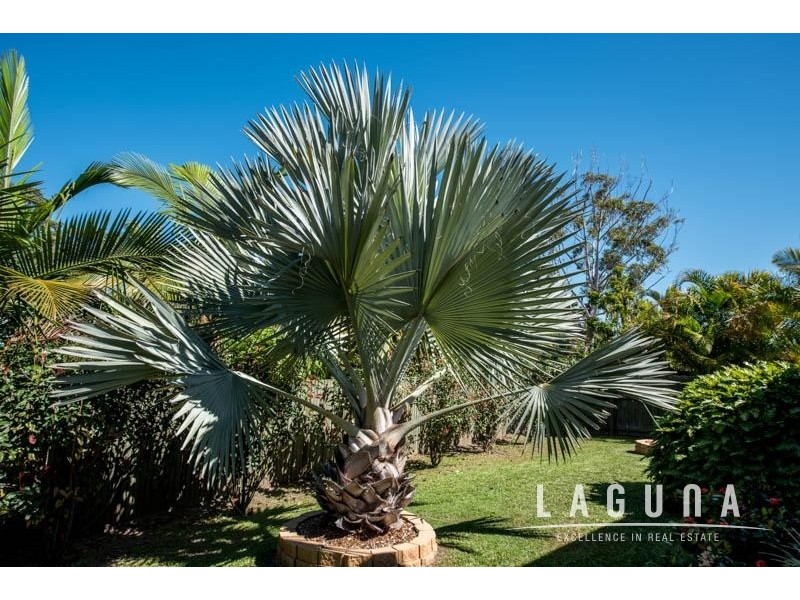 41 Furness Drive, Tewantin QLD 4565