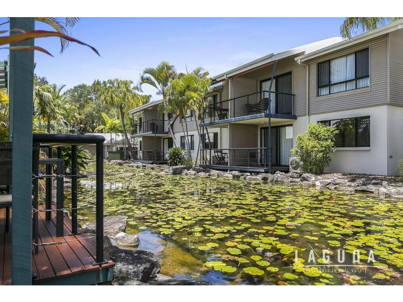 48/73 Hilton Terrace, Noosaville QLD 4566