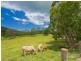 55 Eumundi Range Road, Eumundi QLD 4562