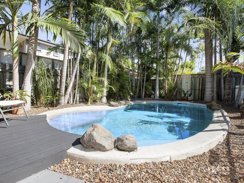 4 Gumnut Court, Tewantin QLD 4565