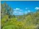 11/144 Noosa Parade, Noosaville QLD 4566