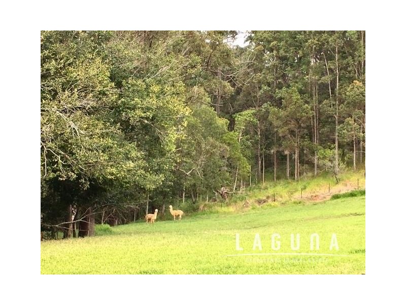 24 Dr Page Road, Kin Kin QLD 4571