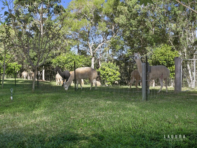 24 Dr Page Road, Kin Kin QLD 4571