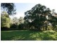 236 Herron Road, Pie Creek QLD 4570