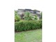 17  Avalon Street, Coolum Beach QLD 4573