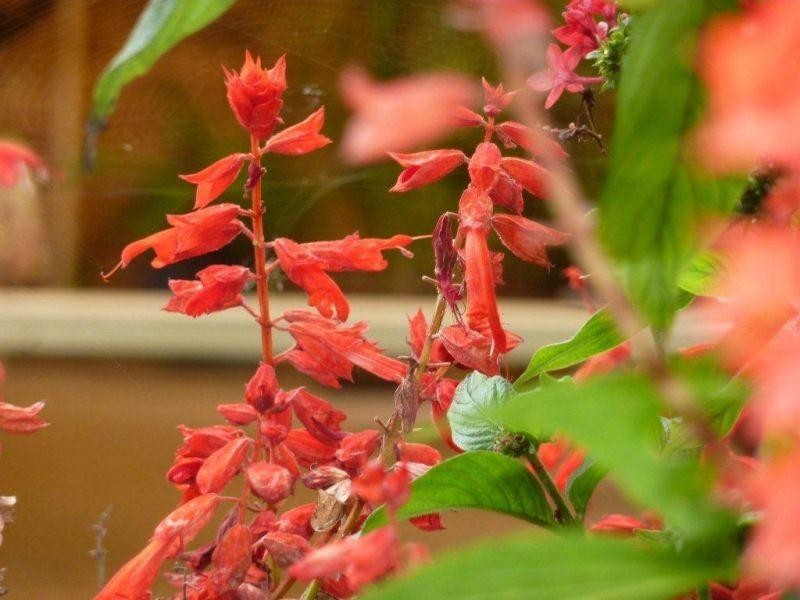 16 Avron Court, Tewantin QLD 4565