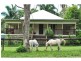 236 Herron Road, Pie Creek QLD 4570