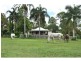 236 Herron Road, Pie Creek QLD 4570