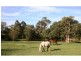 236 Herron Road, Pie Creek QLD 4570