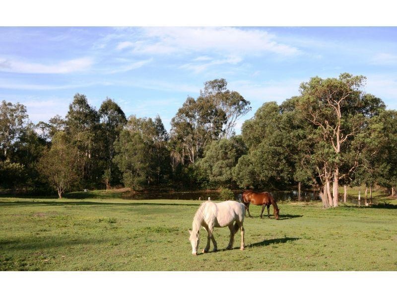 236 Herron Road, Pie Creek QLD 4570