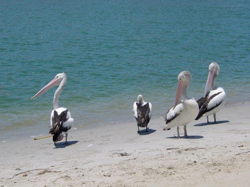 18/13 James Street, Noosaville QLD 4566