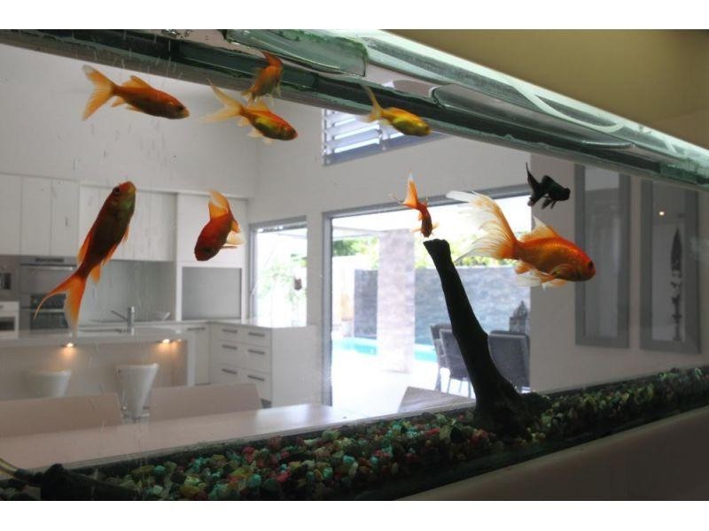 28 Creek Road, Noosaville QLD 4566