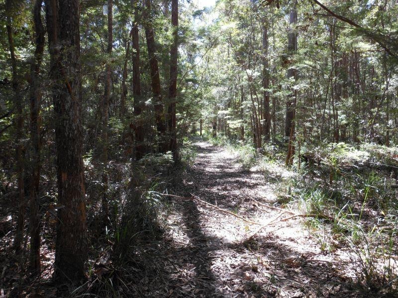 34 Little Creek Rd, Cooroibah QLD 4565