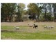 1340 Mary Valley Road, Dagun QLD 4570