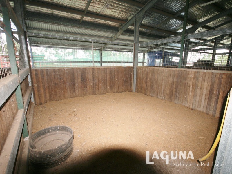 214 Rocks Road, Pie Creek QLD 4570