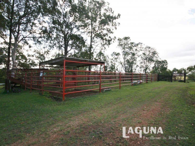 214 Rocks Road, Pie Creek QLD 4570