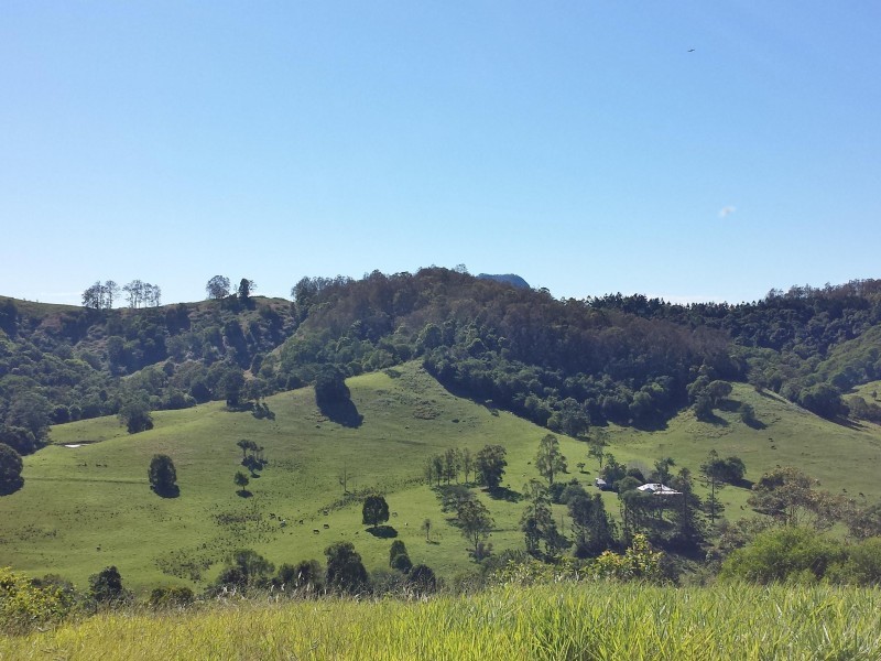 342 Middle Creek Road, Federal QLD 4568