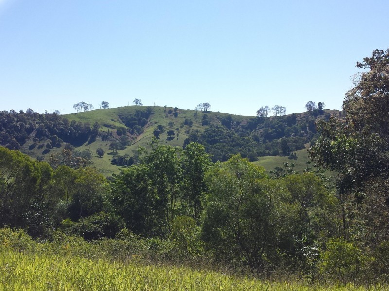 342 Middle Creek Road, Federal QLD 4568