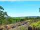 Bambaroo QLD 4850