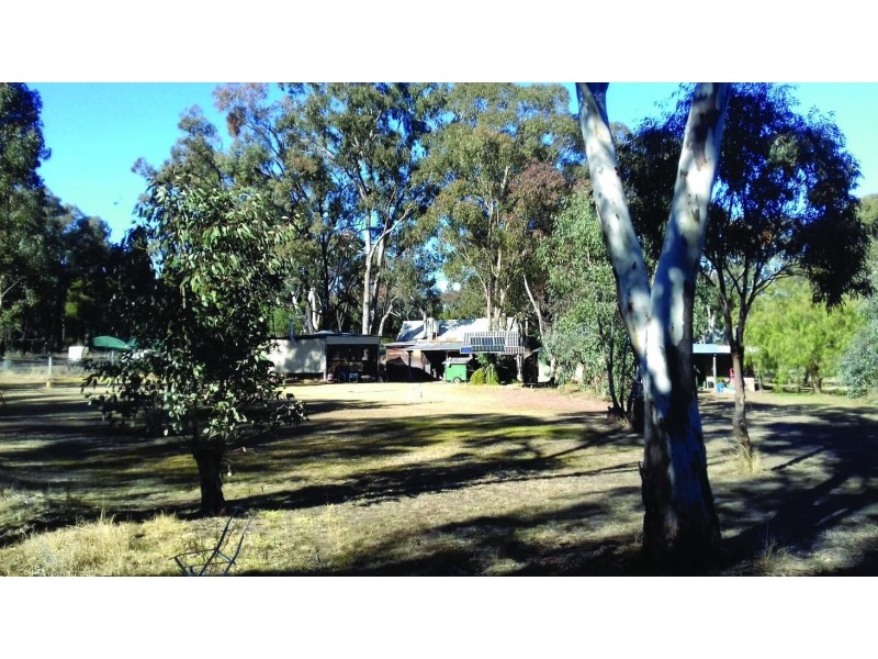 Elong Elong NSW 2831