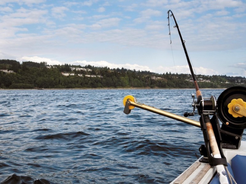 Hastings Point NSW 2489
