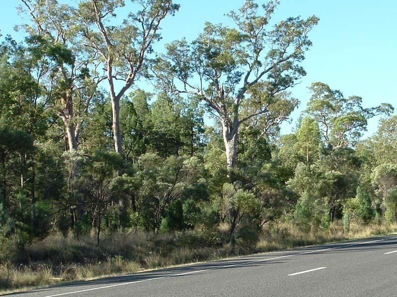 Millmerran QLD 4357