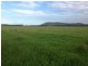 Clairview QLD 4741