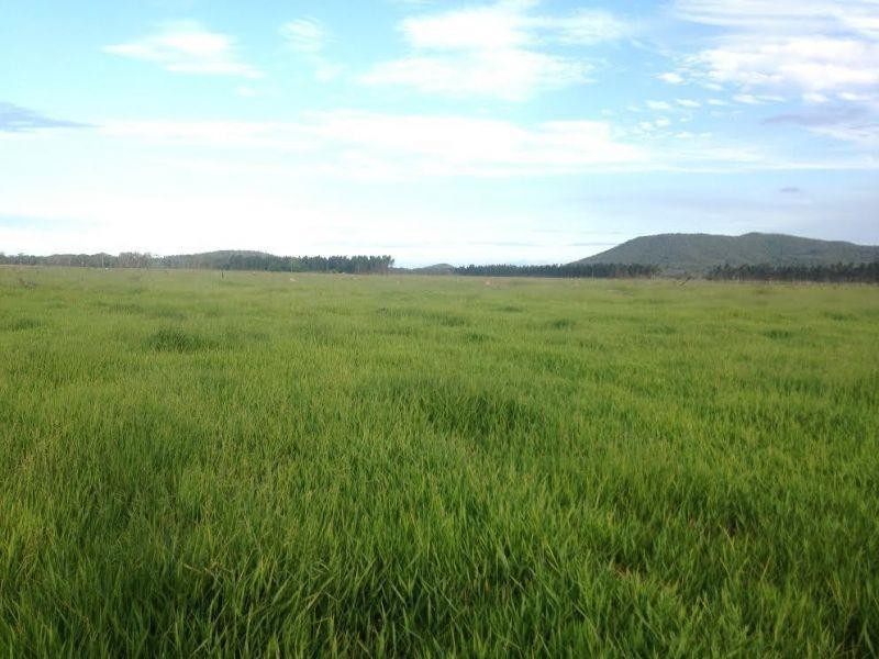 Clairview QLD 4741