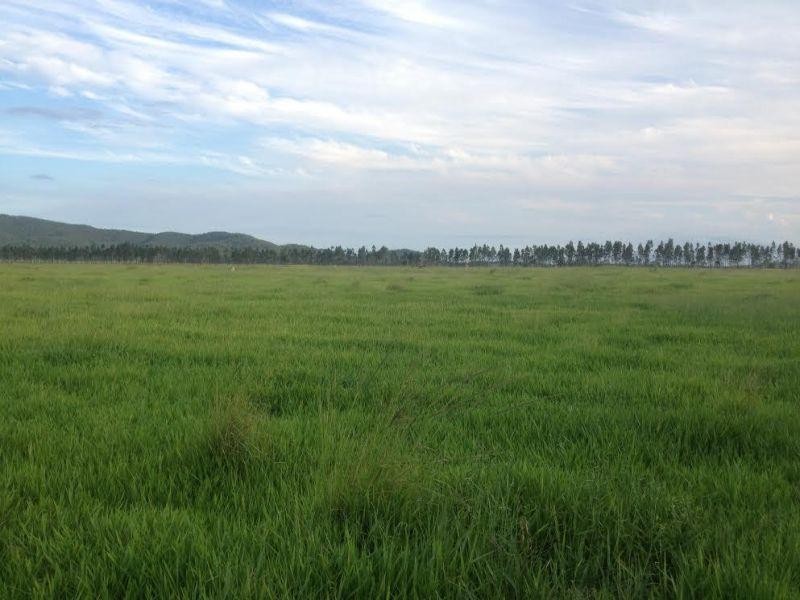 Clairview QLD 4741